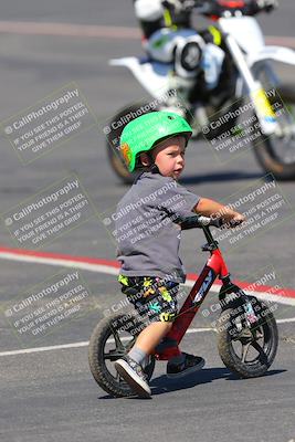 media/Sep-25-2023-Moto Forza (Mon) [[81ffa65e0a]]/Around the Pits/